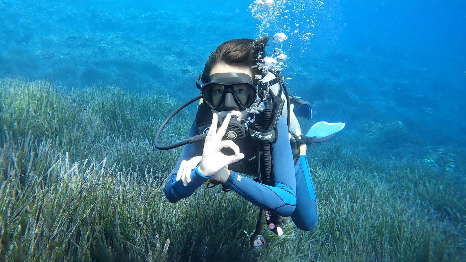 Coral Dive