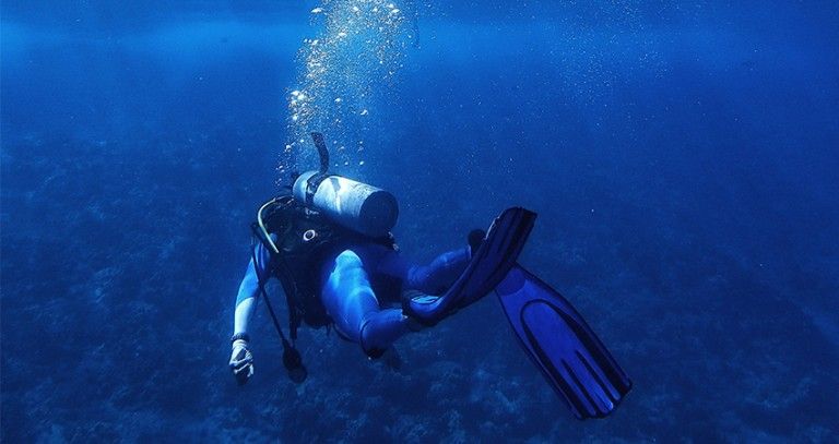 PADI Speciality Dive Courses for Divers and Professionals