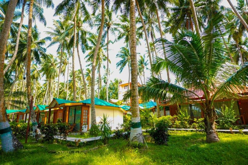 Scuba Diving At Havelock Island In Andaman Islands