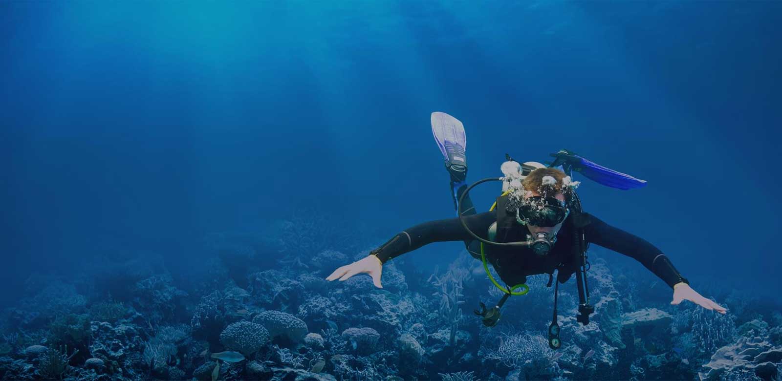 Scuba Diving at Havelock Island in Andaman Islands