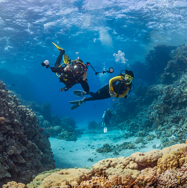 Scuba Diving At Havelock Island In Andaman Islands