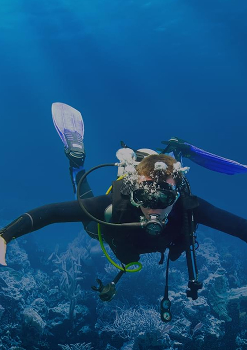 Scuba Diving at Havelock Island in Andaman Islands