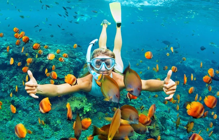 SNORKELLING AT SHORE