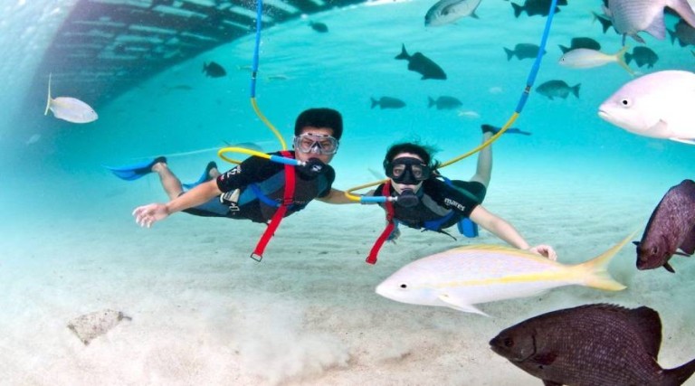 Can you Scuba Dive Without a Certification?