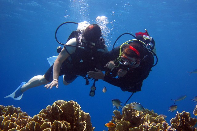 10 Essential Tips for Safe and Enjoyable Scuba Diving: Exploring the Underwater World