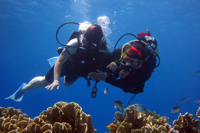 10 Essential Tips for Safe and Enjoyable Scuba Diving