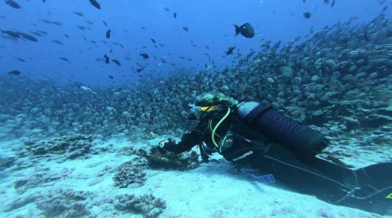 10 Things You Should Never Do Immediately After Diving