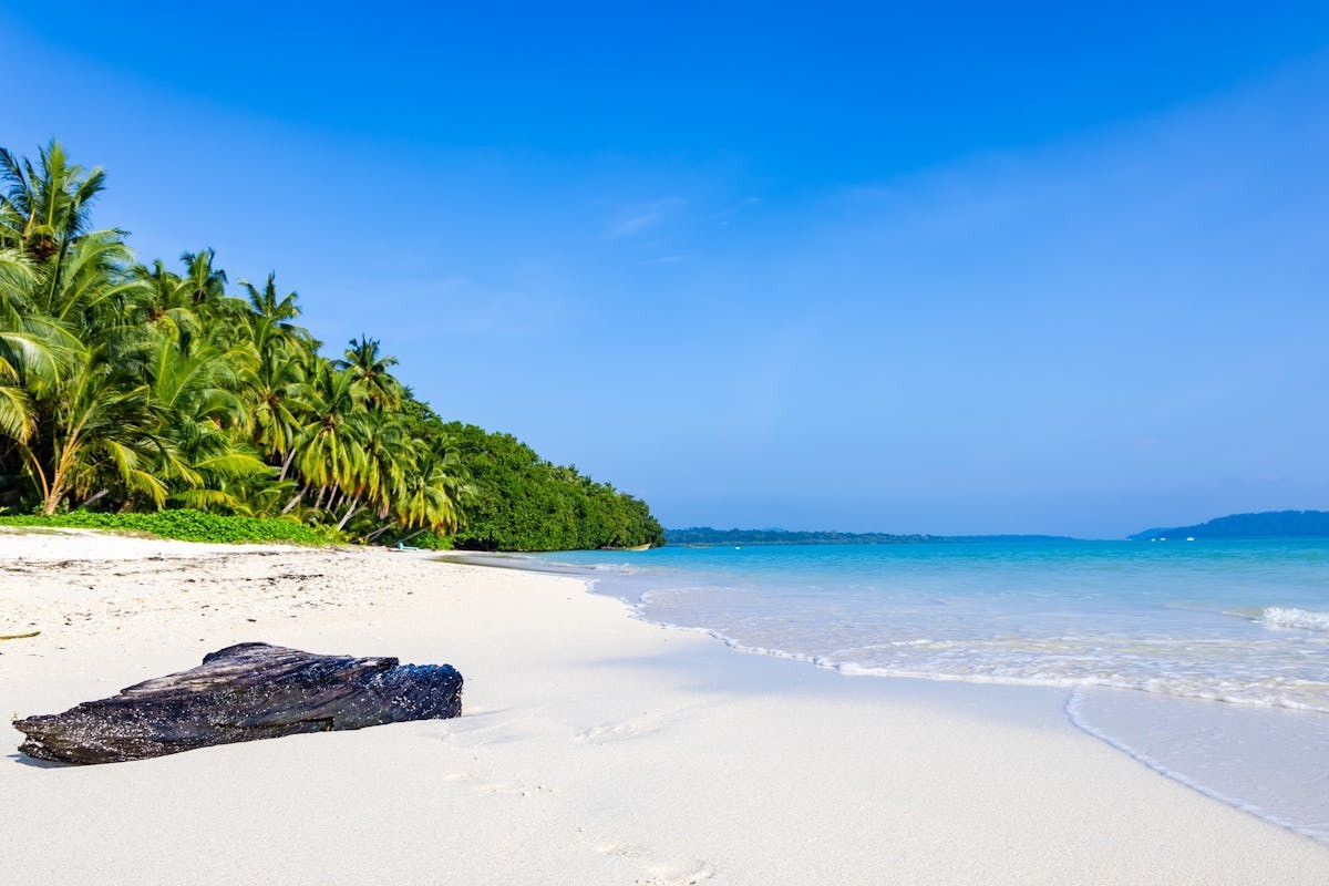 Why Should You Choose a Beachfront Stay at Havelock Island?