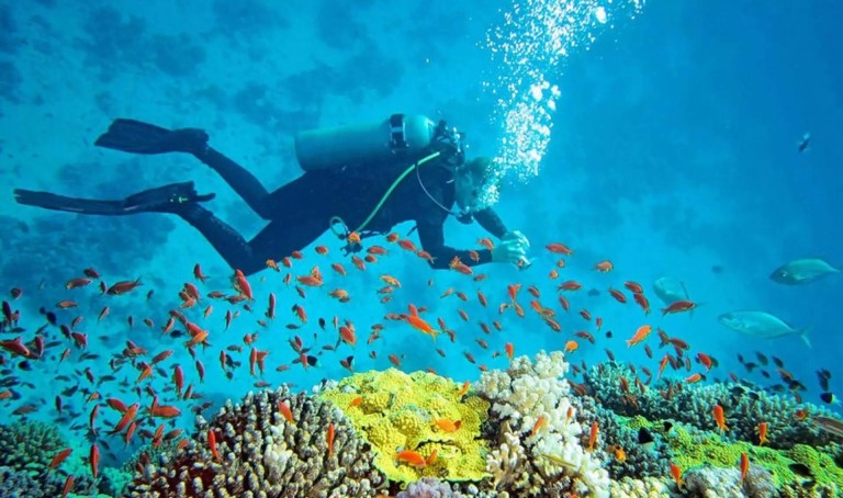 Scuba Diving in the Andaman Islands