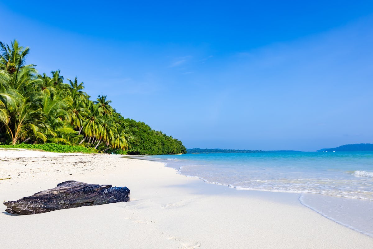 Top Things to Do at Havelock Island