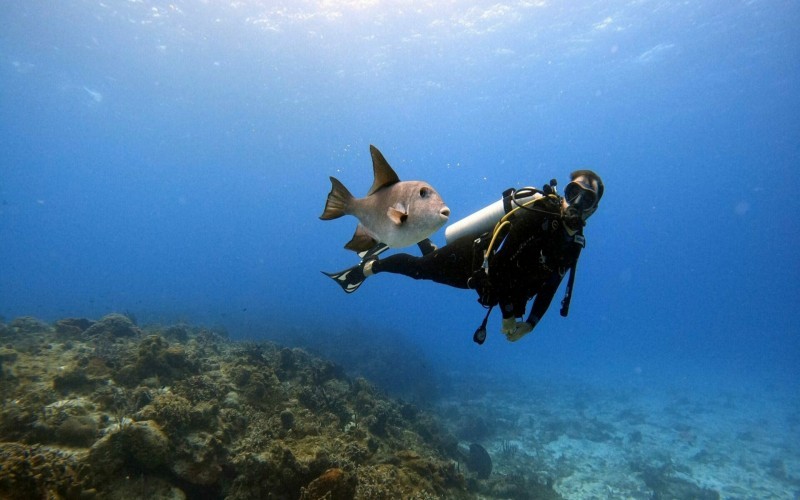 Top 10 Dive Sites in Havelock Island