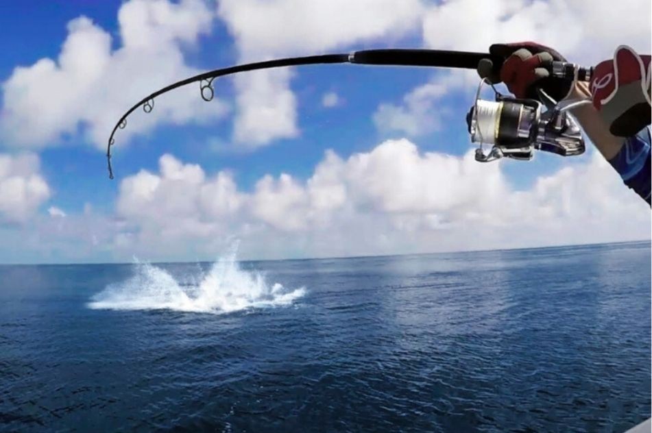 How to Plan a Game Fishing Trip in Andaman: A Detailed Guide