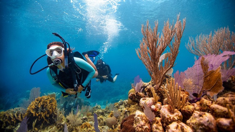 Exploring the depths: The best places for deep-sea diving in India