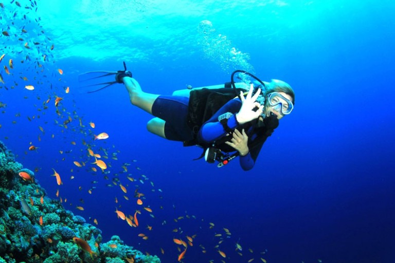 The Top 5 PADI Course: Thrill of Being a Professional Diver In India