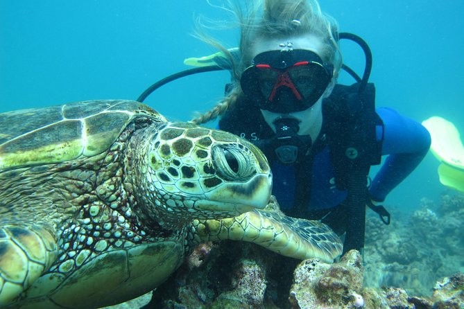 Is Turtle Beach a Good Scuba Dive Site for Beginners?