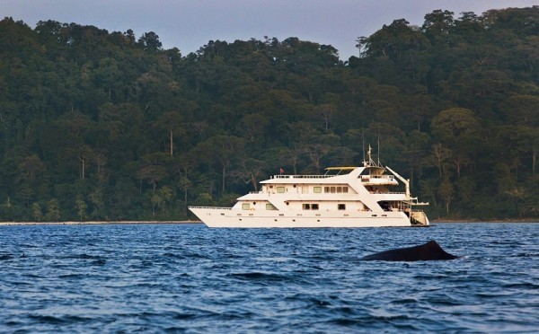 Charter Boat for Scuba Diving & Snorkelling in the Andaman Islands