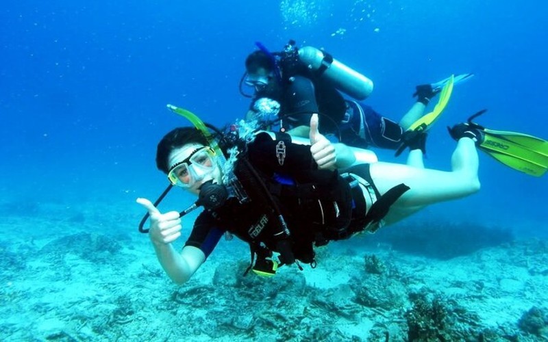 Scuba Diving for Beginners