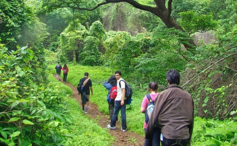 Trekking in Havelock Island: Adventure Amidst Nature’s Splendor