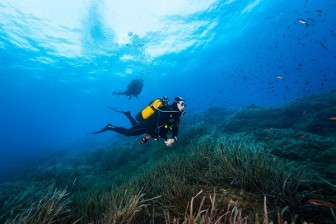 Scuba Diving: What are the top 10 reasons to do it?