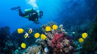Scuba Certification: Everything You Need to Know