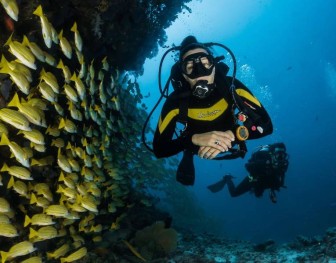 Andaman Islands: Shore Diving into the Exquisite Treasures of a Crystal-Clear Underwater World