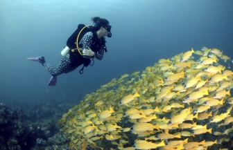 Top 3 Scuba Diving Destinations in India