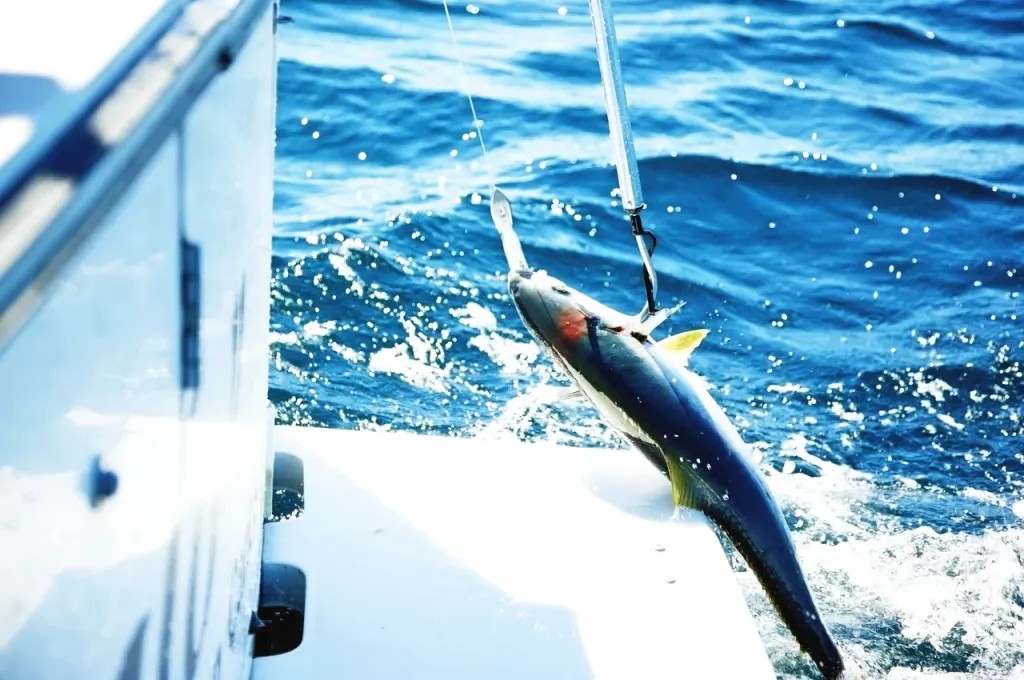 Top Reasons Andaman Islands Are Perfect for Game Fishing in India