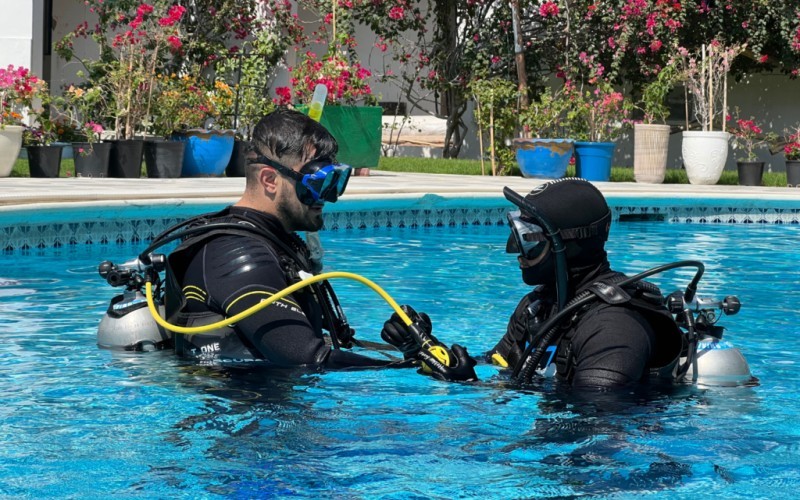 The Golden Rules of Scuba Diving