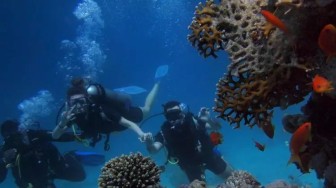 Best Scuba Diving Sites in Havelock Island