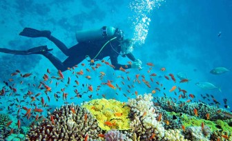 Learn to Scuba Dive: A Comprehensive Guide for Beginners