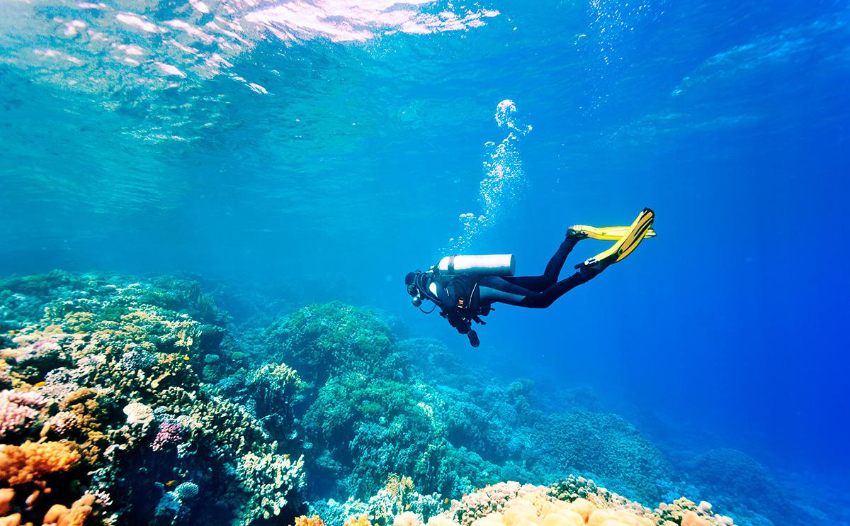 Unforgettable Scuba Diving Experiences in Andaman