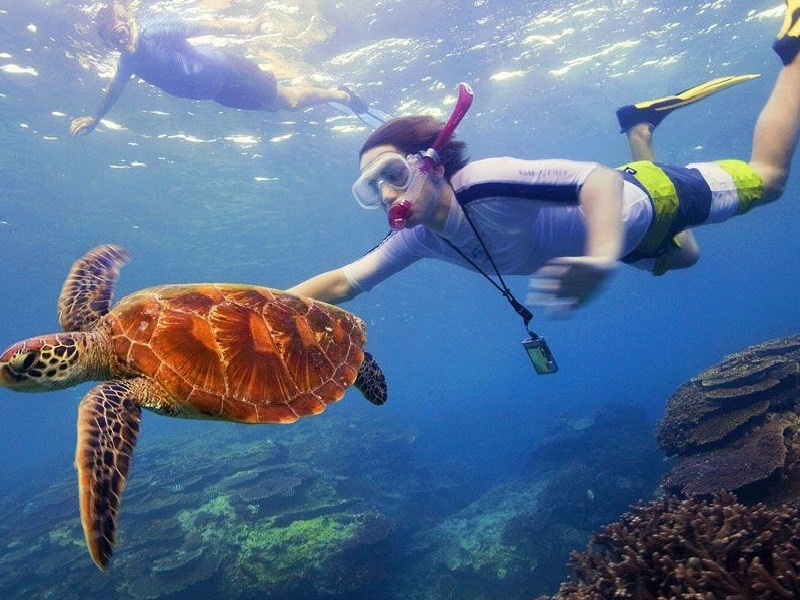Snorkeling