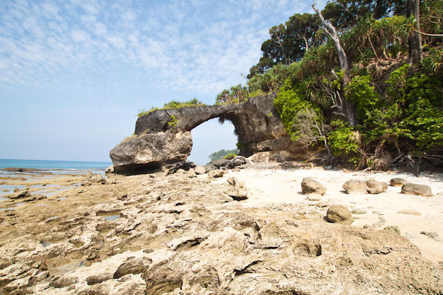 Best Scuba Diving Spots in Andaman Nicobar | Dive Andaman