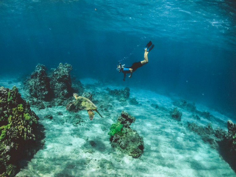 Scuba Diving in Broken Ledge Havelock Island