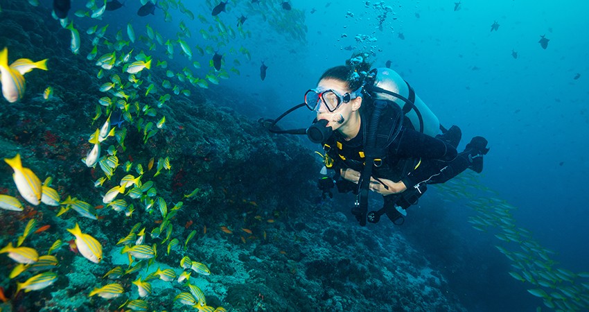 PADI Bubblemaker Program in Andaman