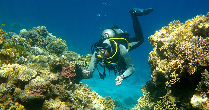 PADI Bubblemaker Program in Andaman