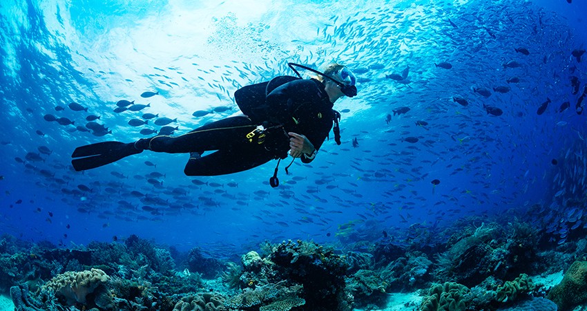 PADI Shore Diver Course in Andaman