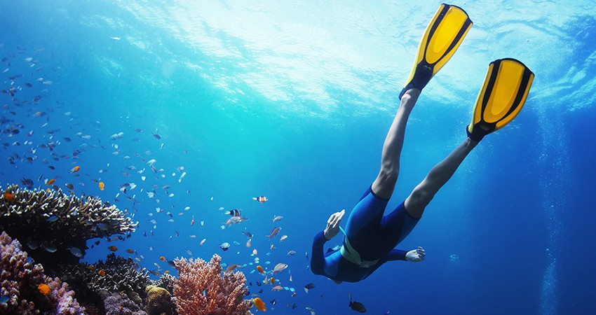 PADI Skin Diver Course in Andaman