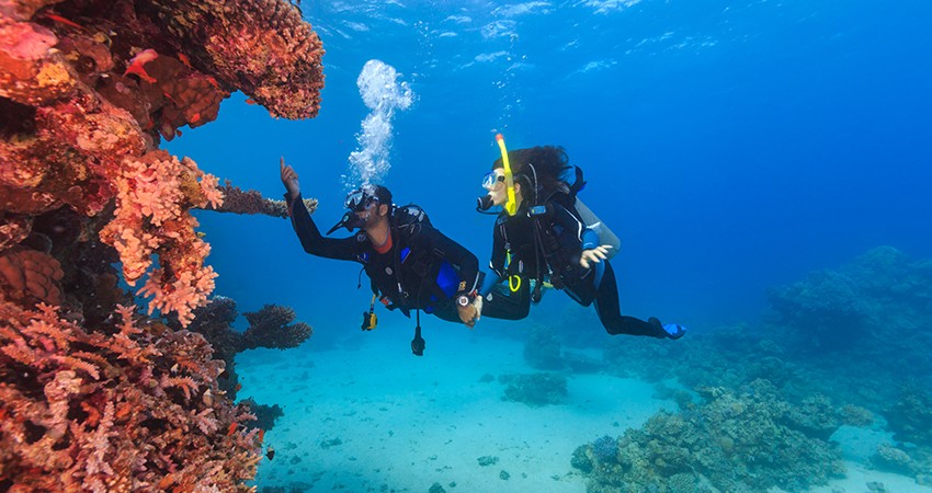 PADI Underwater Navigator Course in Andaman