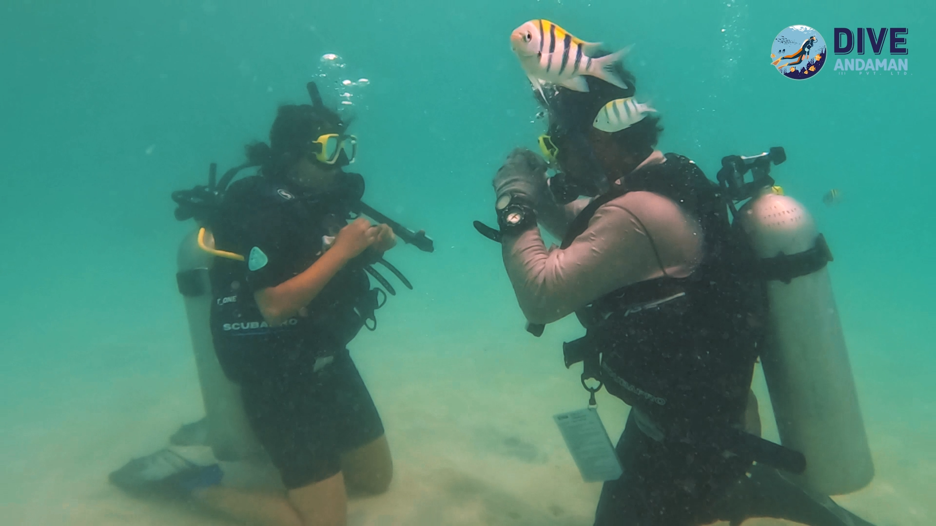 PADI Open Water Diver Course in Andaman Islands