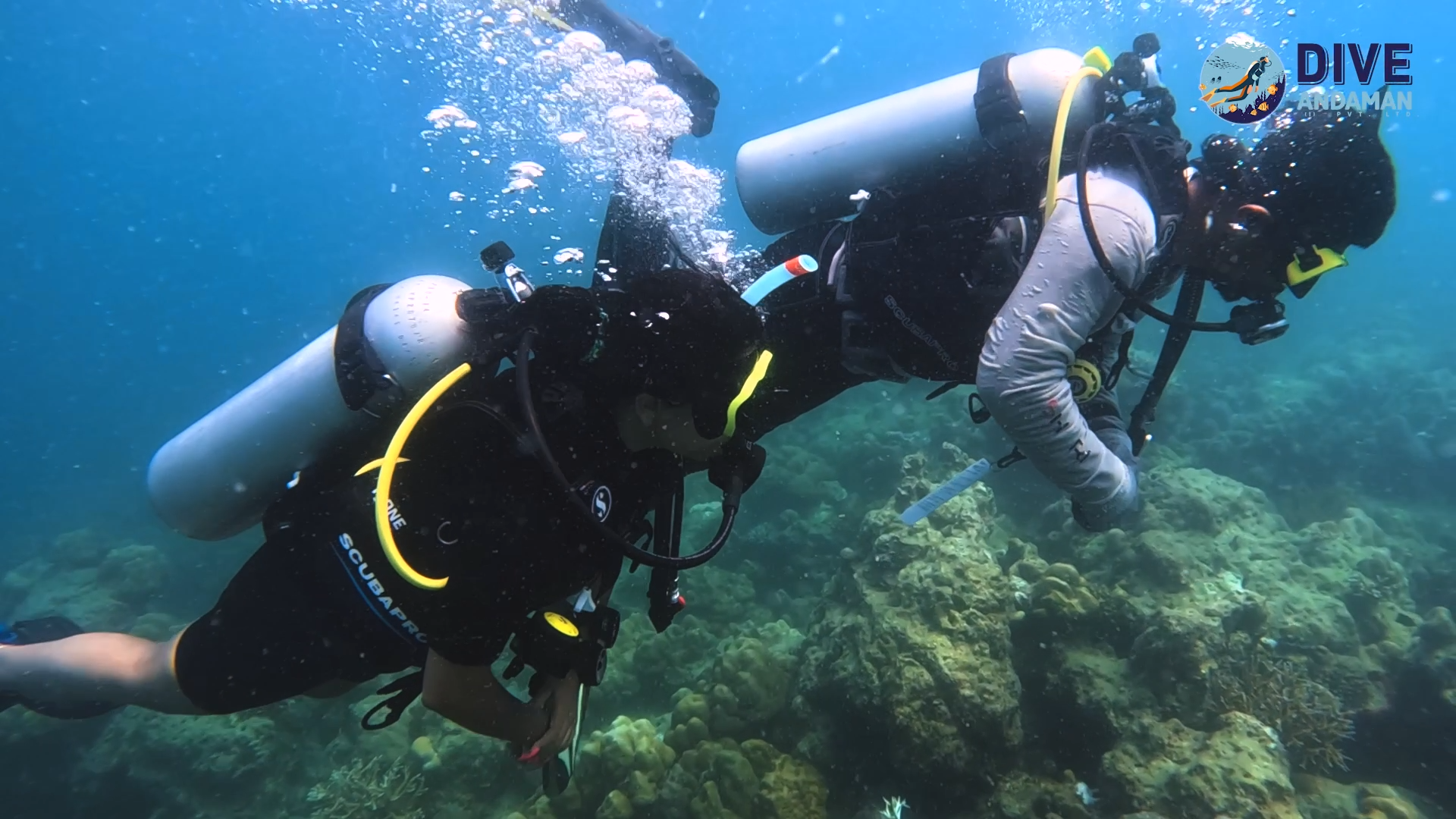 PADI Open Water Diver Course in Andaman Islands