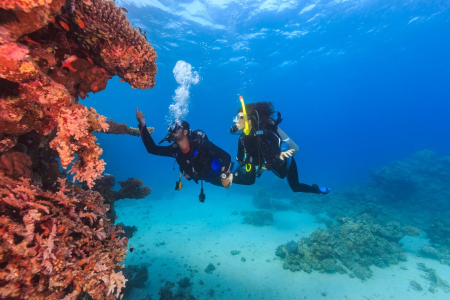 PADI Rescue Diver Course in Andaman Islands