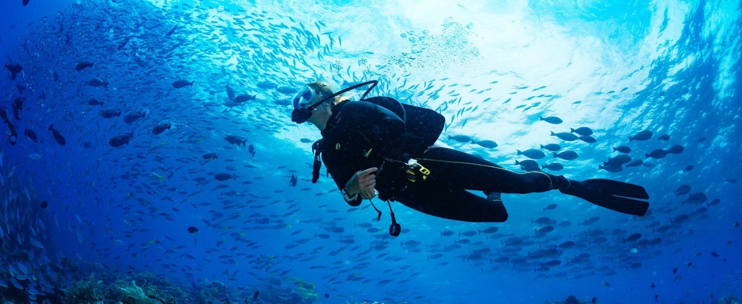 PADI Night Diver Course in Andaman