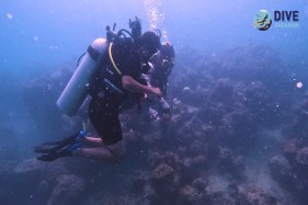 PADI Open Water Diver Course Andaman