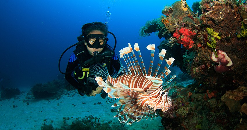 PADI Seal Team Course in Andaman