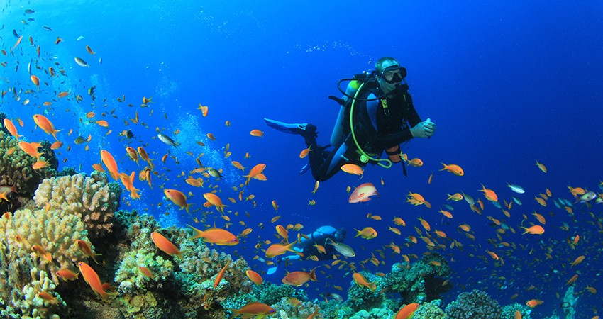 PADI Peak Performance Buoyancy Course in Andaman