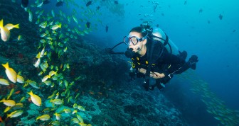 PADI Seal Team Course in Andaman