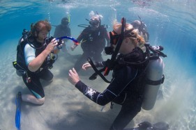 PADI Open Water Scuba Instructor Course