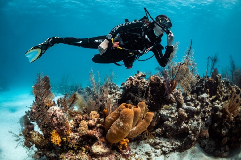 Wreck Dive Specialty in Havelock Island