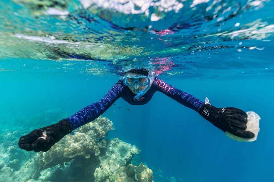 Guided Shore Snorkelling at Nemo Beach